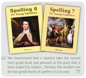 We recommend that a student take the normal next grade level, but proceed at the pace that is best, subject by subject...Perhaps the student can do two grade levels of spellers in one year.