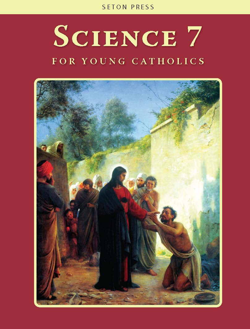 science7cover